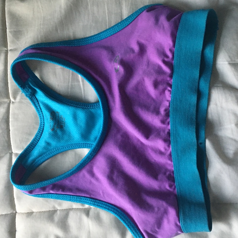 Purple and Blue Sports Bra